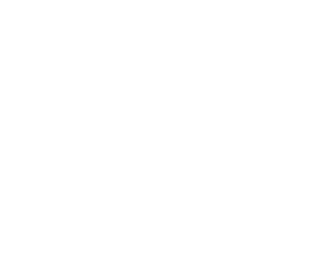 Strategy Development